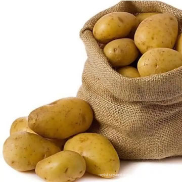 Мировые цены на свежий желтый картофель на экспорт горячие продажи